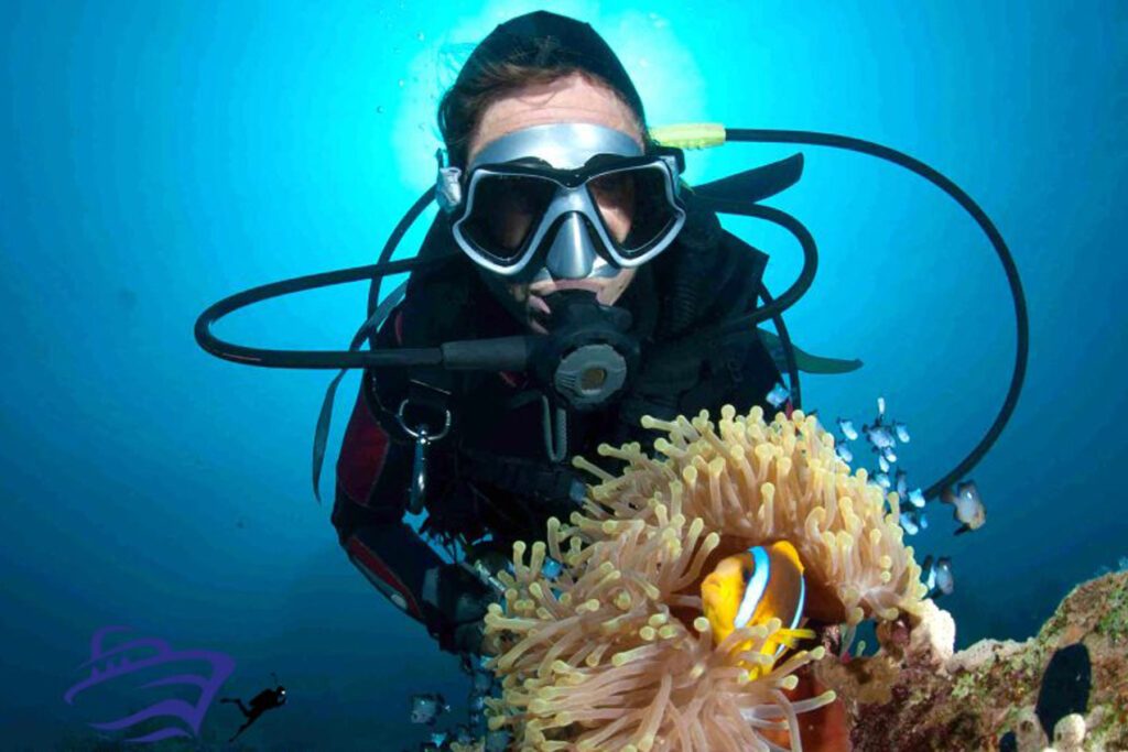 Diver next to an anemone with clownfish