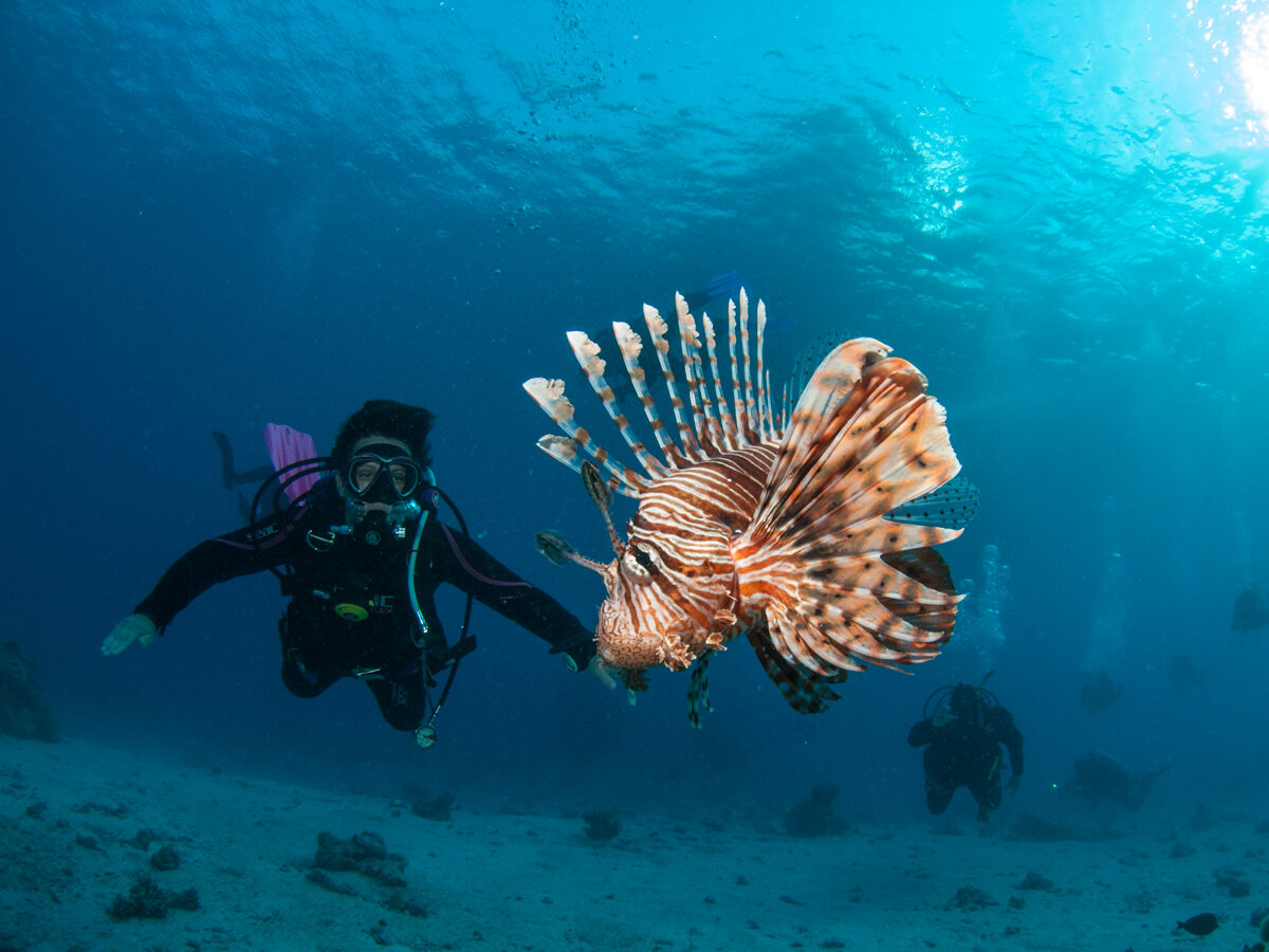 Diver exploring the reef alongside a lionfish