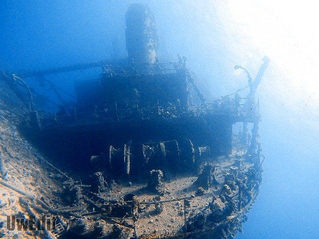Coral-covered shipwreck on a Red Sea wreck dive